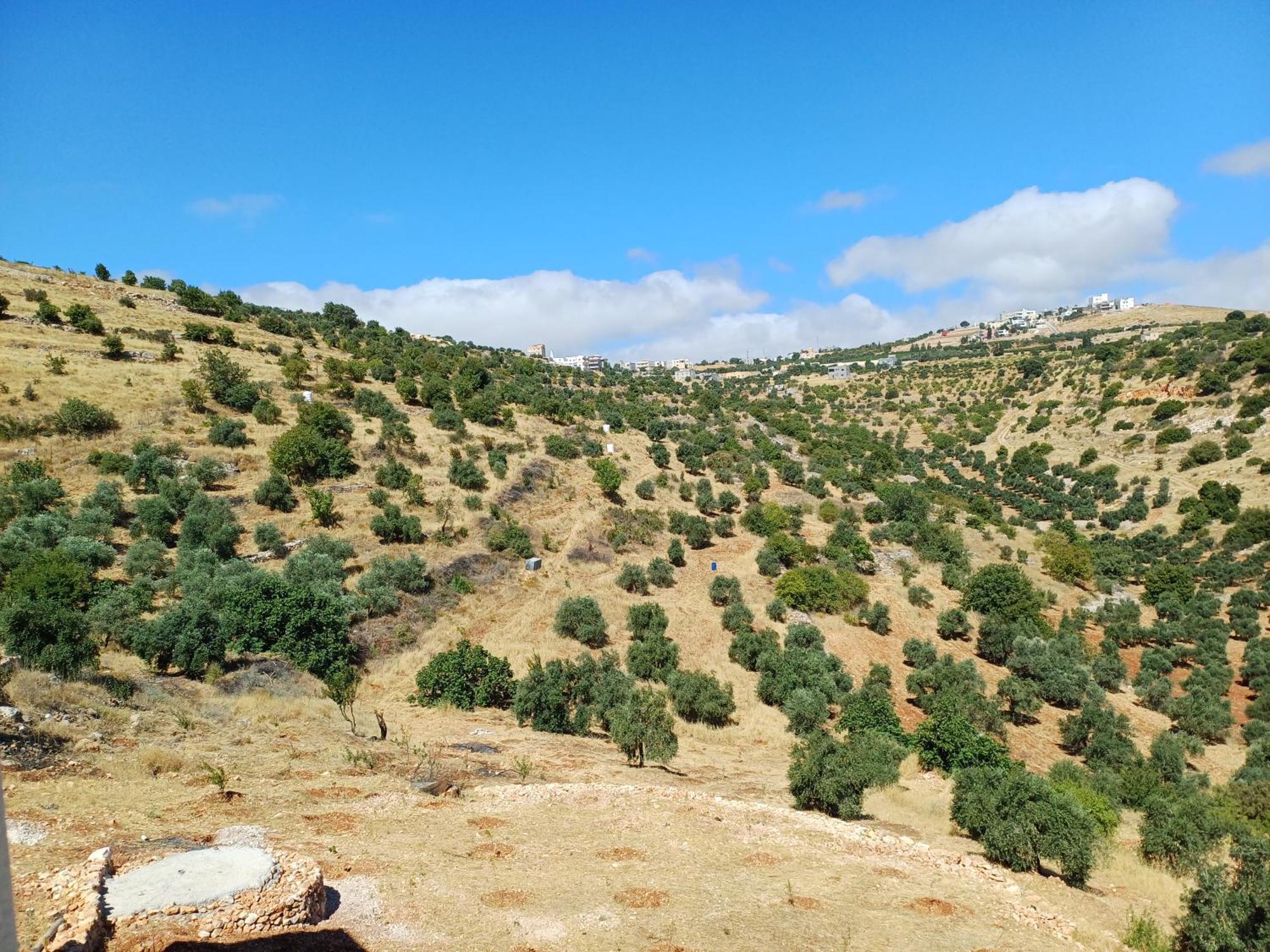 Vila Ajlon Skhrh Sakhrah Exteriér fotografie