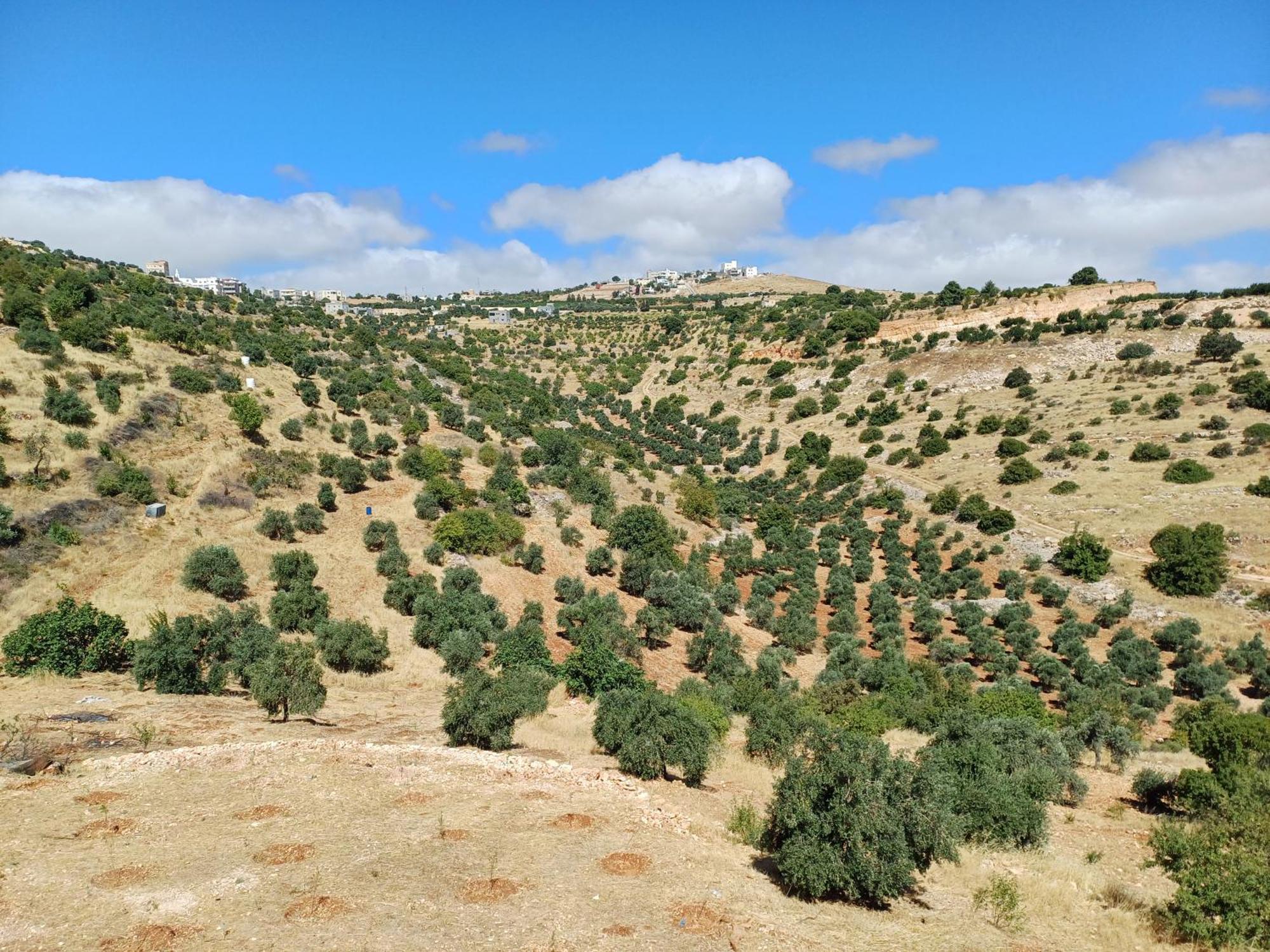 Vila Ajlon Skhrh Sakhrah Exteriér fotografie