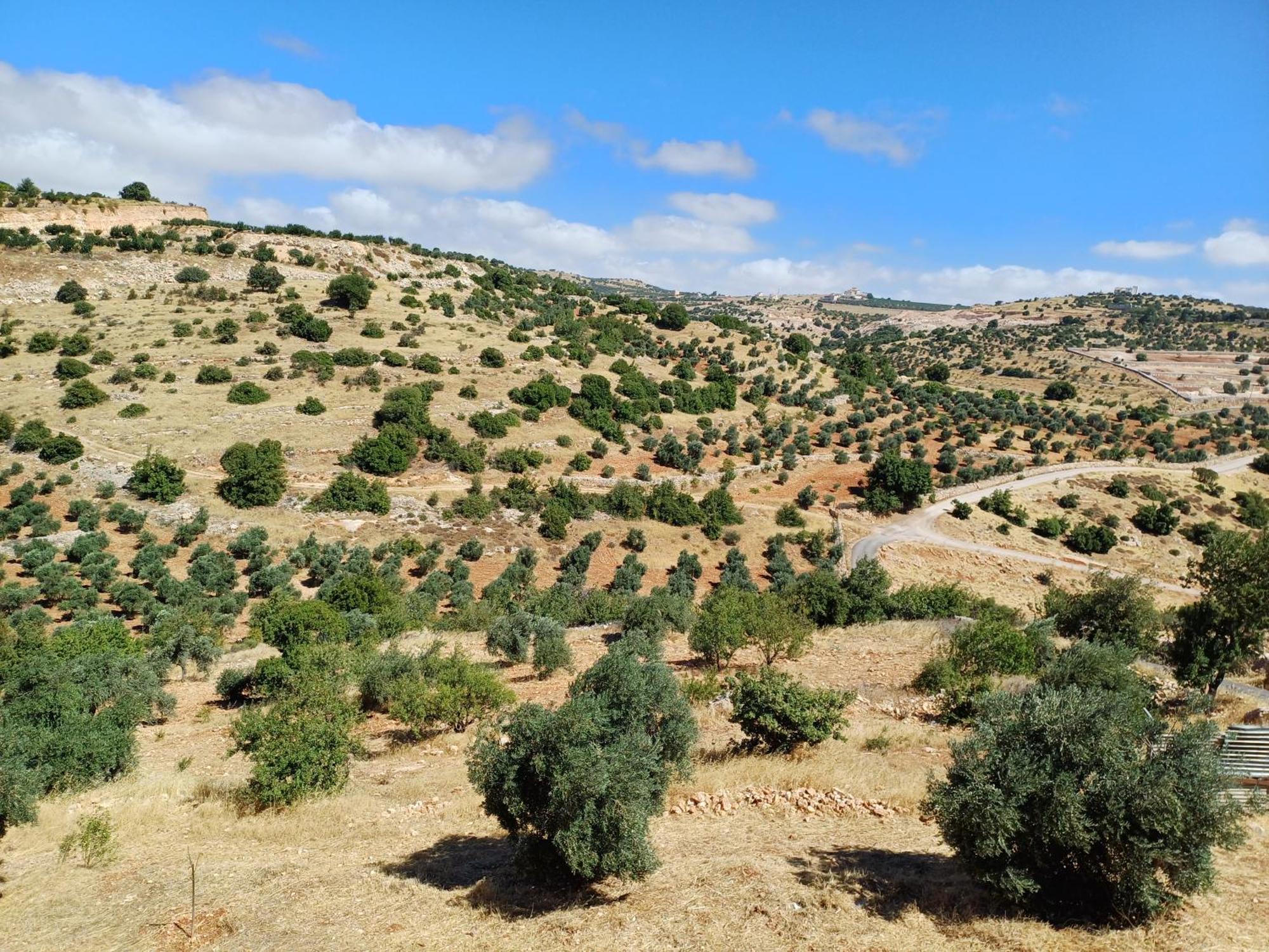 Vila Ajlon Skhrh Sakhrah Exteriér fotografie